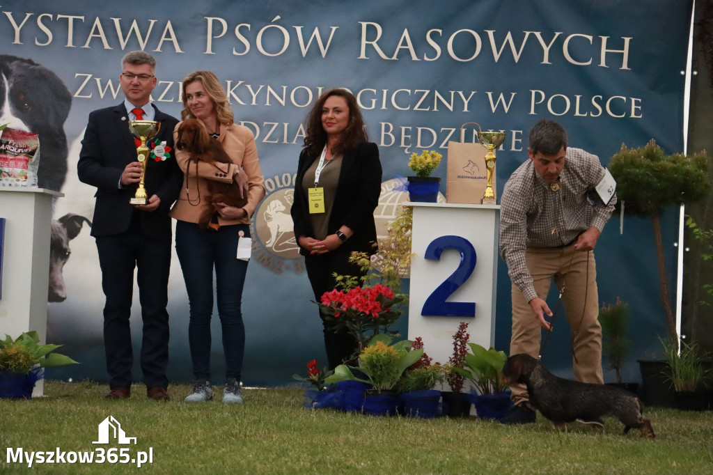 Fotorelacja - Wystawa Psów Rasowych GNIAZDÓW 2024r.