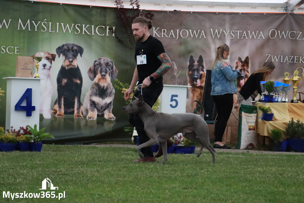 Fotorelacja - Wystawa Psów Rasowych GNIAZDÓW 2024r.