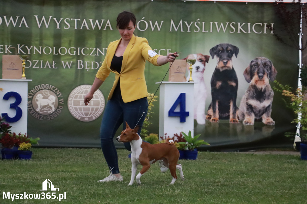 Fotorelacja - Wystawa Psów Rasowych GNIAZDÓW 2024r.