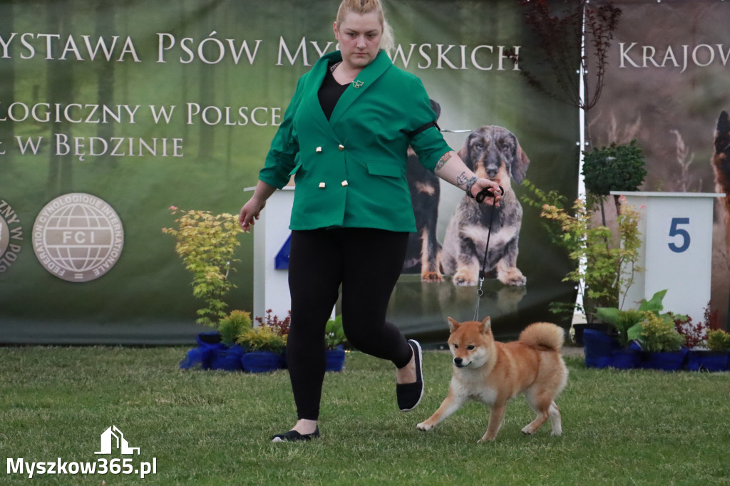 Fotorelacja - Wystawa Psów Rasowych GNIAZDÓW 2024r.