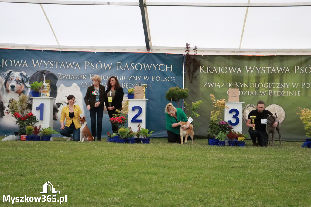 Fotorelacja - Wystawa Psów Rasowych GNIAZDÓW 2024r.