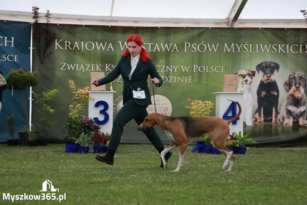 Fotorelacja - Wystawa Psów Rasowych GNIAZDÓW 2024r.