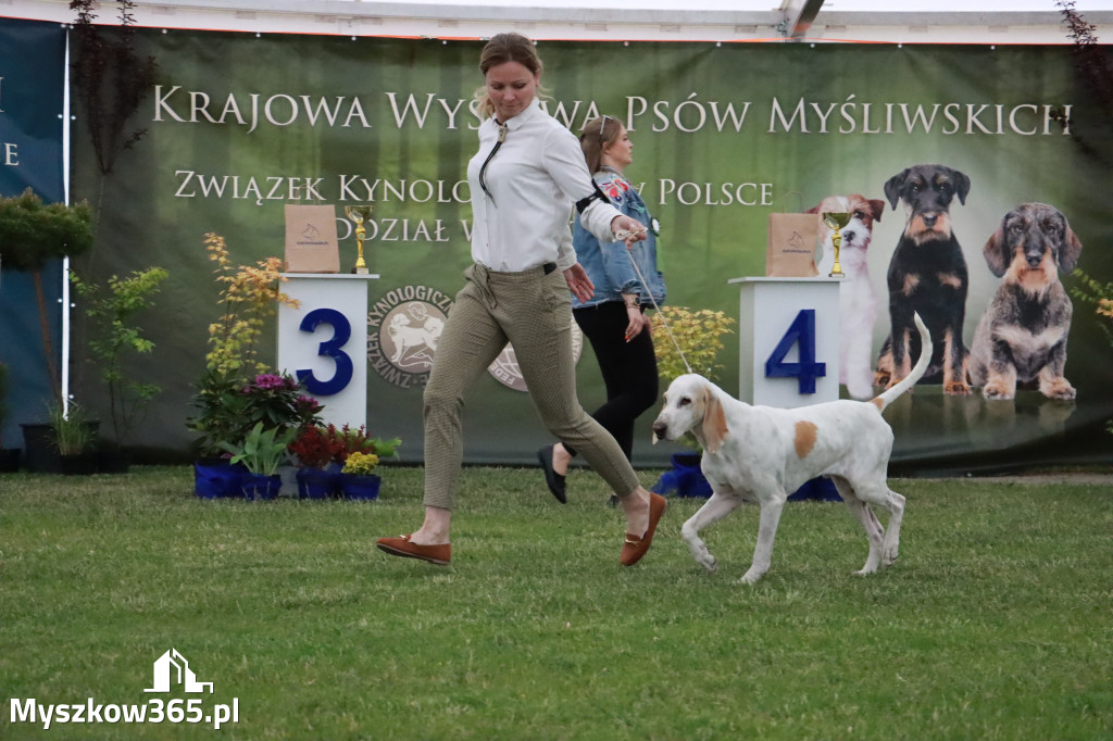 Fotorelacja - Wystawa Psów Rasowych GNIAZDÓW 2024r.