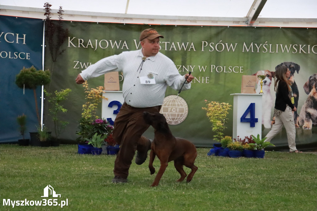 Fotorelacja - Wystawa Psów Rasowych GNIAZDÓW 2024r.