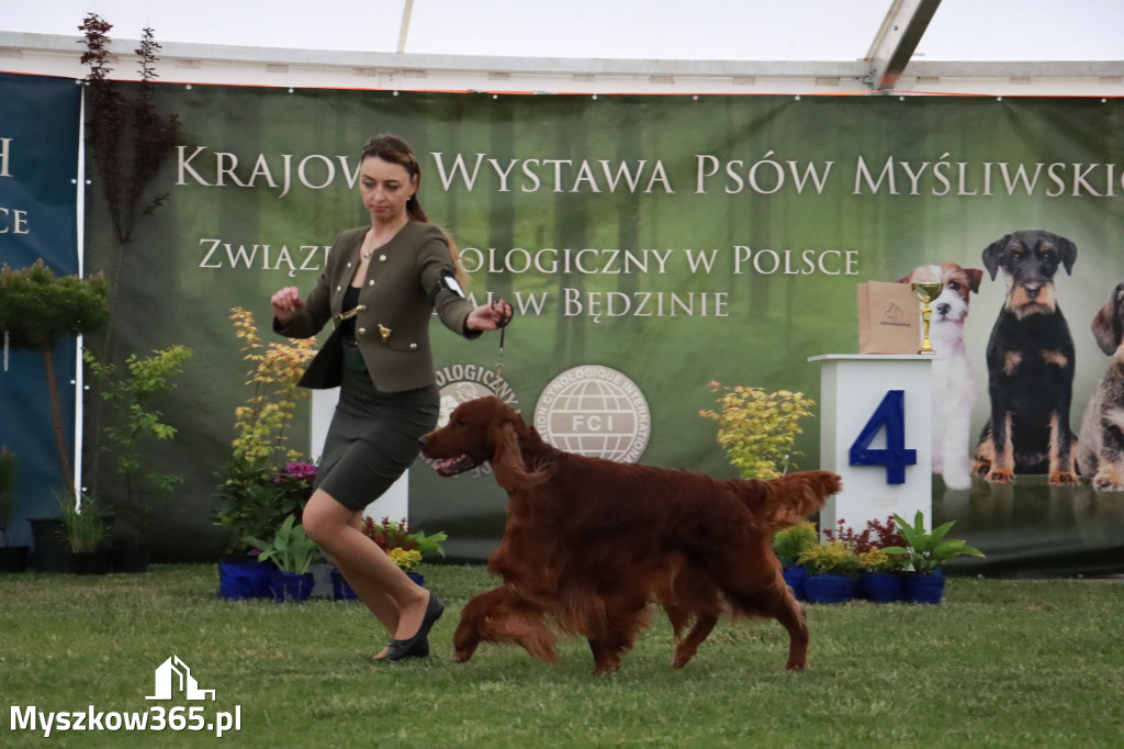 Fotorelacja - Wystawa Psów Rasowych GNIAZDÓW 2024r.