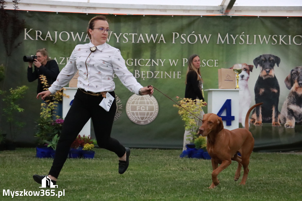 Fotorelacja - Wystawa Psów Rasowych GNIAZDÓW 2024r.