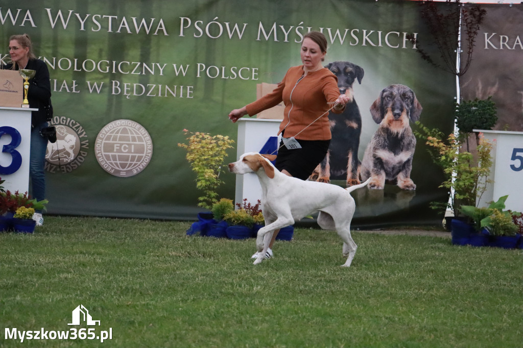 Fotorelacja - Wystawa Psów Rasowych GNIAZDÓW 2024r.