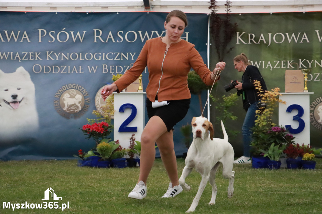 Fotorelacja - Wystawa Psów Rasowych GNIAZDÓW 2024r.