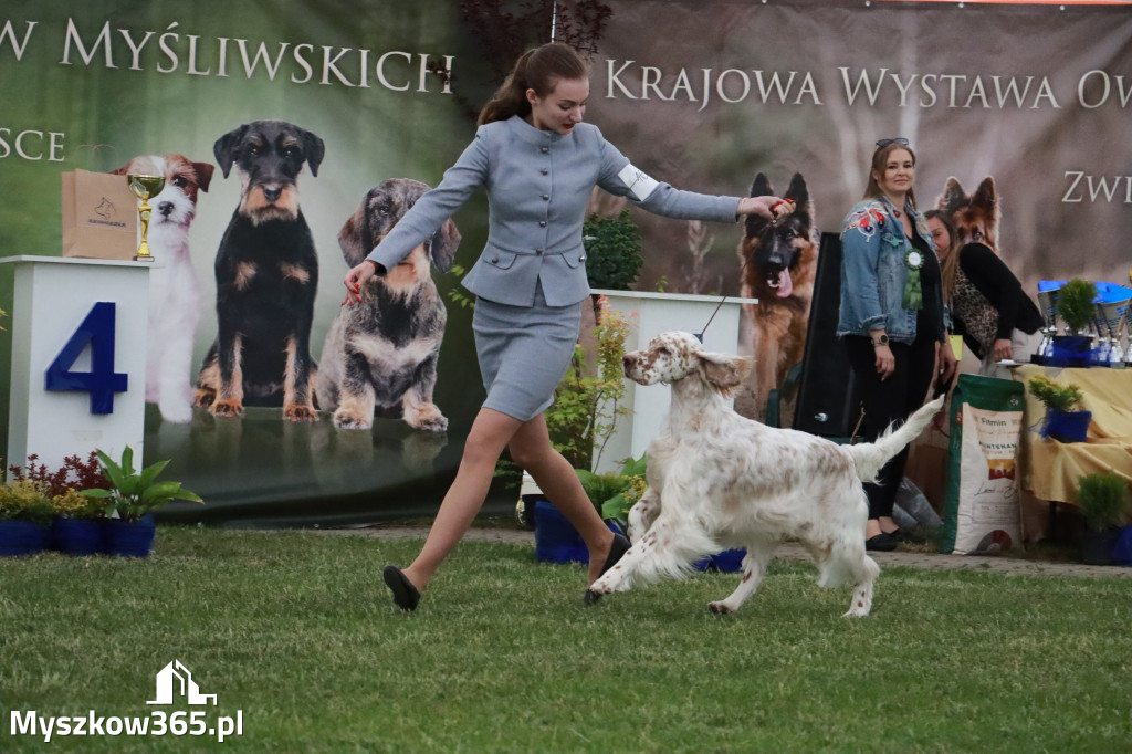 Fotorelacja - Wystawa Psów Rasowych GNIAZDÓW 2024r.