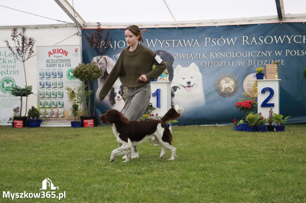 Fotorelacja - Wystawa Psów Rasowych GNIAZDÓW 2024r.