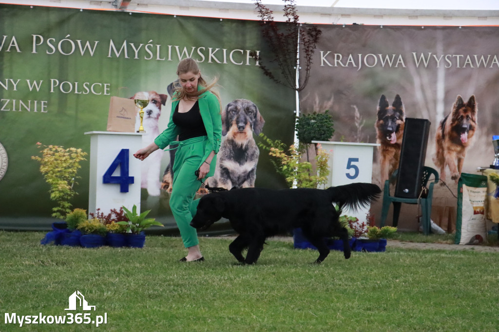 Fotorelacja - Wystawa Psów Rasowych GNIAZDÓW 2024r.