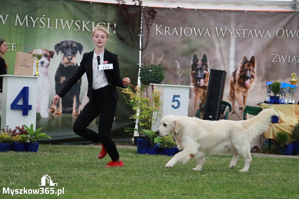 Fotorelacja - Wystawa Psów Rasowych GNIAZDÓW 2024r.