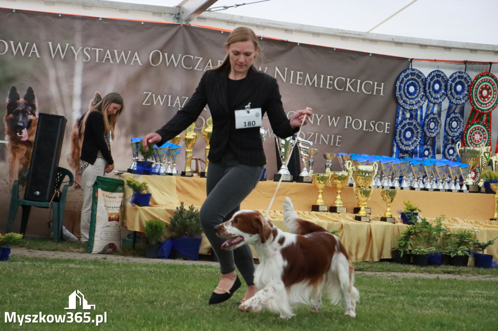 Fotorelacja - Wystawa Psów Rasowych GNIAZDÓW 2024r.