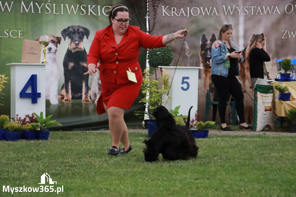 Fotorelacja - Wystawa Psów Rasowych GNIAZDÓW 2024r.