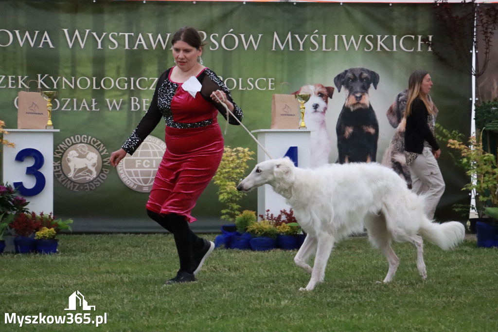 Fotorelacja - Wystawa Psów Rasowych GNIAZDÓW 2024r.