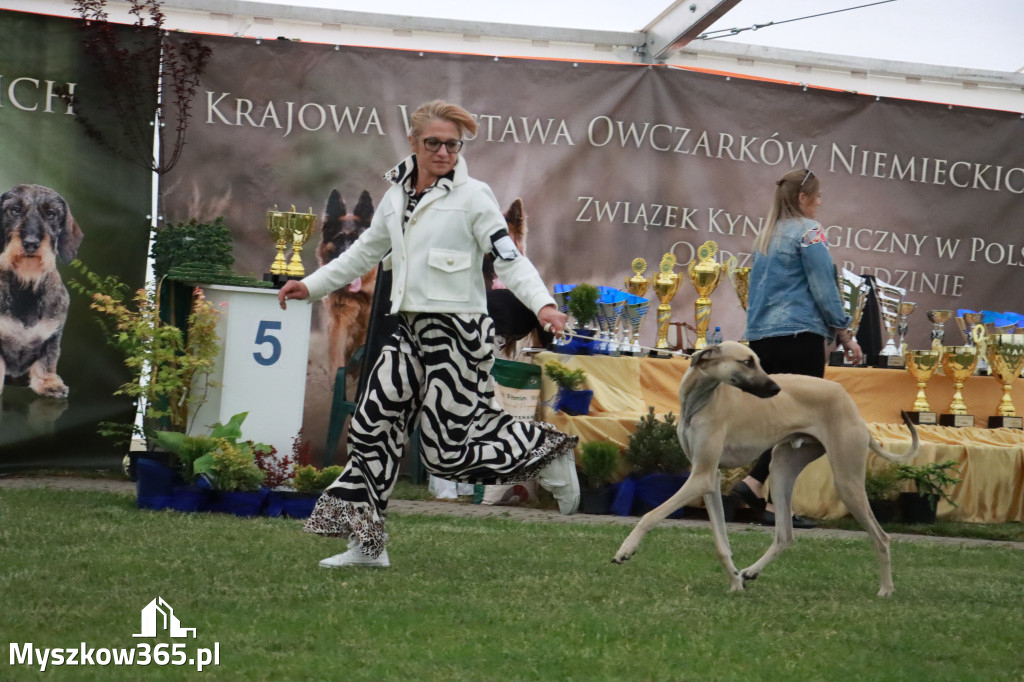 Fotorelacja - Wystawa Psów Rasowych GNIAZDÓW 2024r.