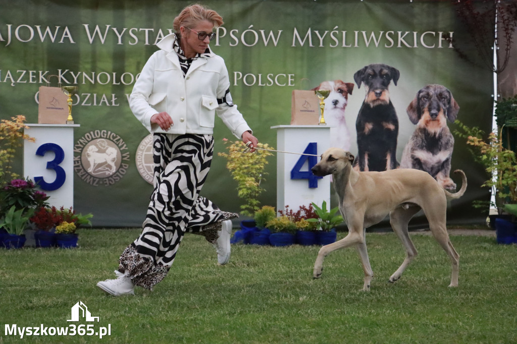 Fotorelacja - Wystawa Psów Rasowych GNIAZDÓW 2024r.