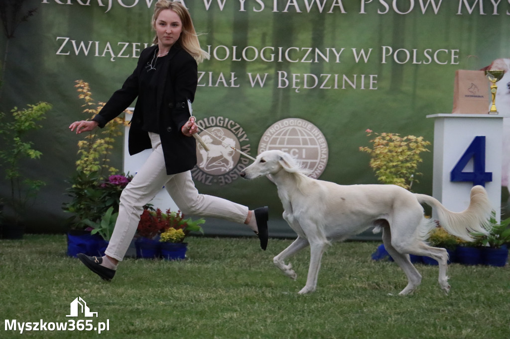 Fotorelacja - Wystawa Psów Rasowych GNIAZDÓW 2024r.