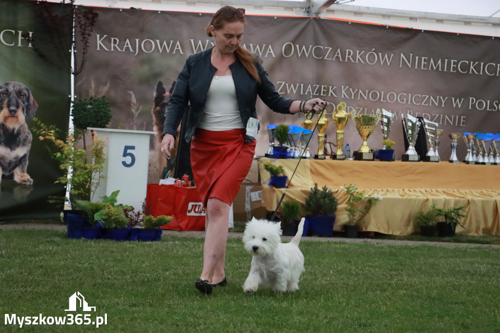 Fotorelacja - Wystawa Psów Rasowych GNIAZDÓW 2024r.