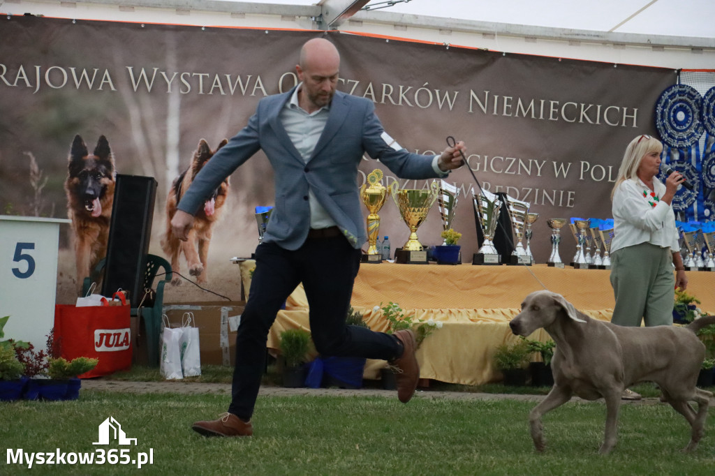 Fotorelacja - Wystawa Psów Rasowych GNIAZDÓW 2024r.