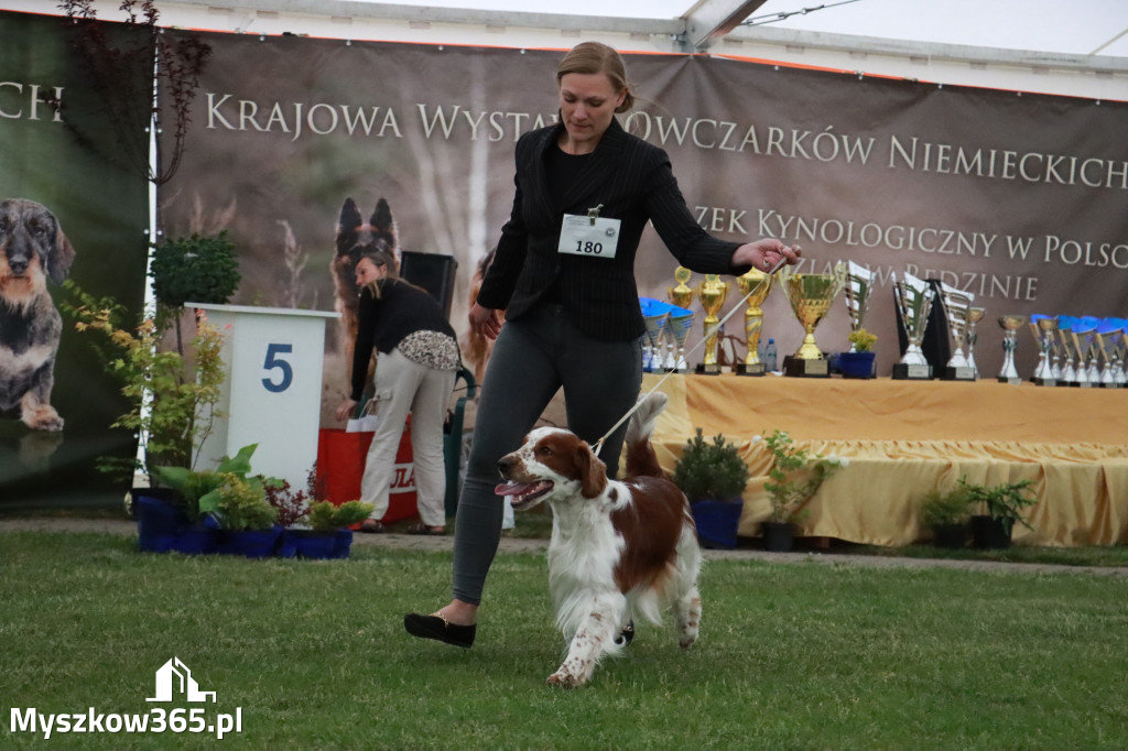 Fotorelacja - Wystawa Psów Rasowych GNIAZDÓW 2024r.