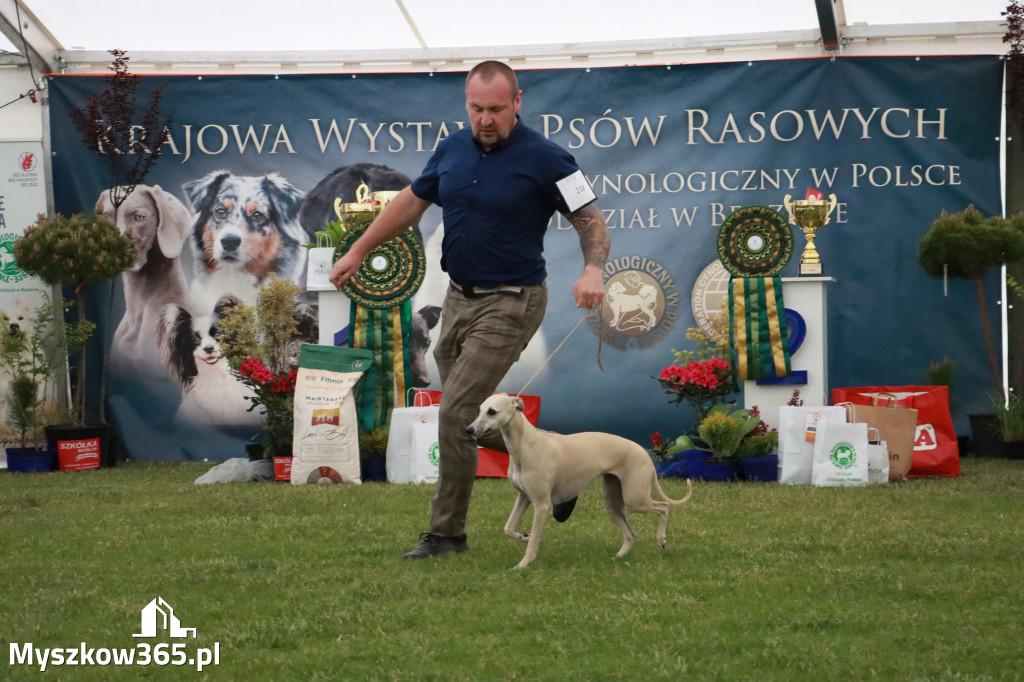 Fotorelacja - Wystawa Psów Rasowych GNIAZDÓW 2024r.