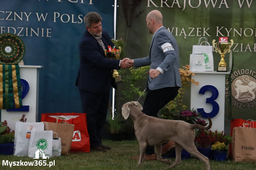 Fotorelacja - Wystawa Psów Rasowych GNIAZDÓW 2024r.