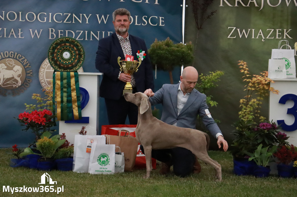 Fotorelacja - Wystawa Psów Rasowych GNIAZDÓW 2024r.