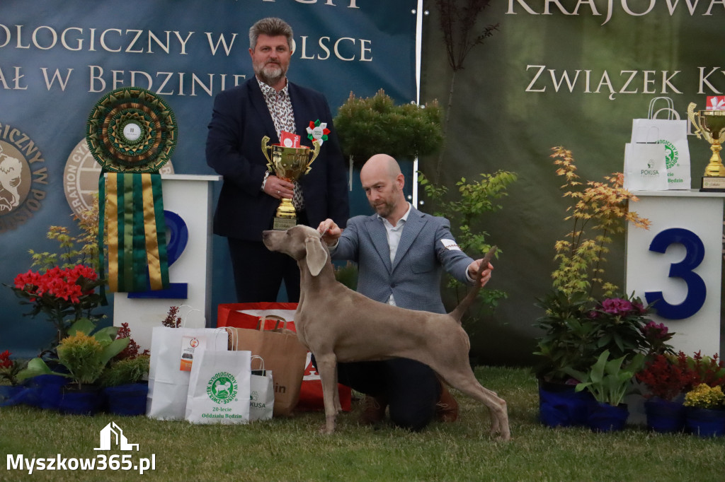 Fotorelacja - Wystawa Psów Rasowych GNIAZDÓW 2024r.