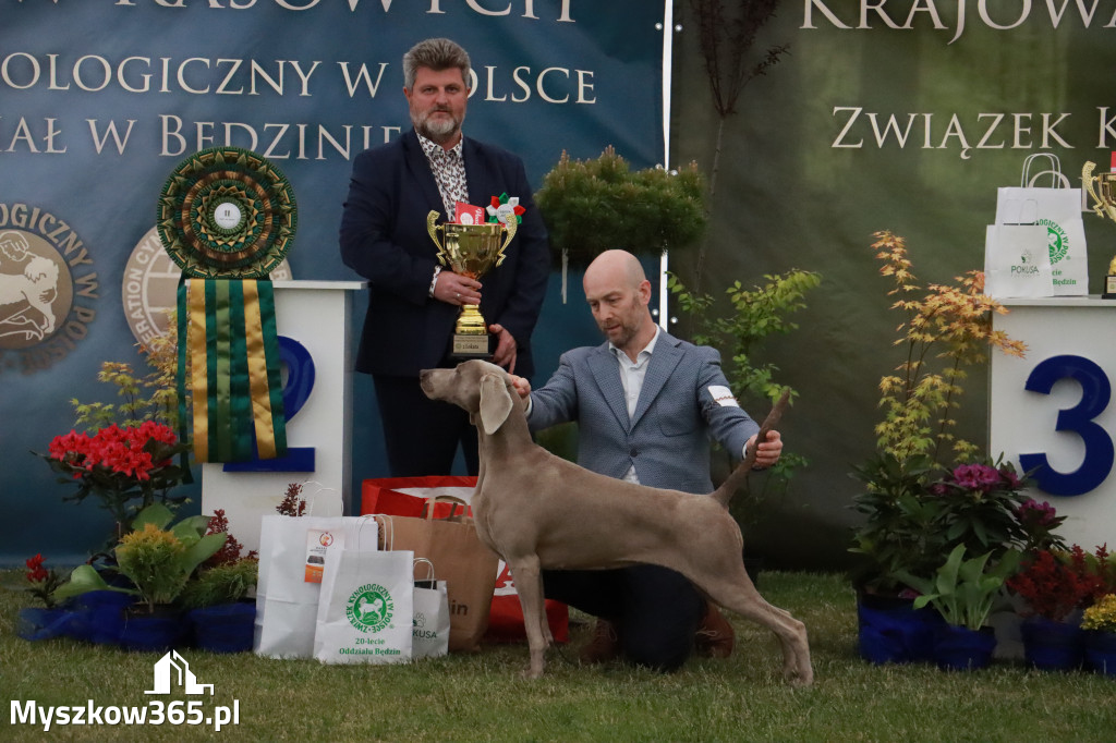 Fotorelacja - Wystawa Psów Rasowych GNIAZDÓW 2024r.