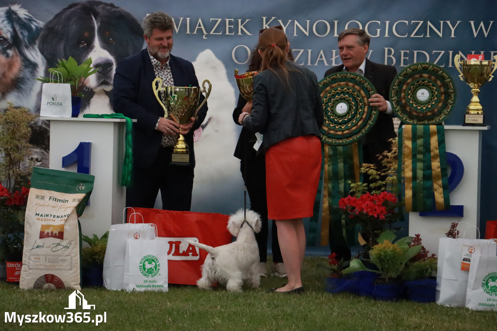 Fotorelacja - Wystawa Psów Rasowych GNIAZDÓW 2024r.