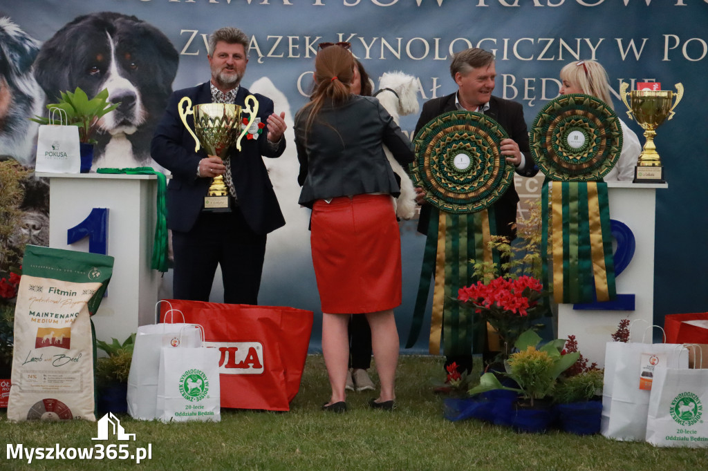 Fotorelacja - Wystawa Psów Rasowych GNIAZDÓW 2024r.