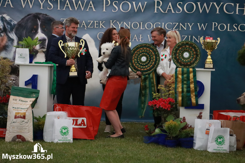 Fotorelacja - Wystawa Psów Rasowych GNIAZDÓW 2024r.