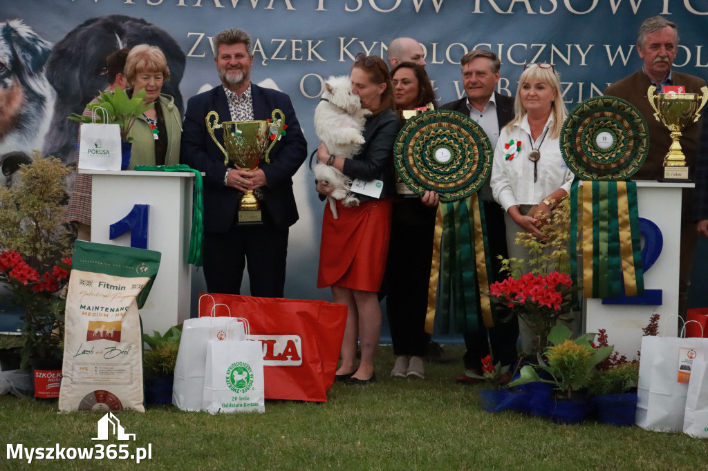 Fotorelacja - Wystawa Psów Rasowych GNIAZDÓW 2024r.