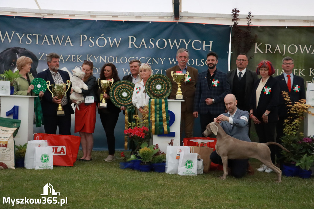 Fotorelacja - Wystawa Psów Rasowych GNIAZDÓW 2024r.