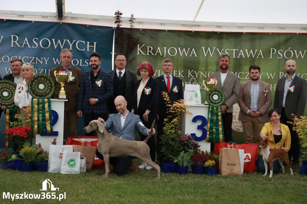 Fotorelacja - Wystawa Psów Rasowych GNIAZDÓW 2024r.