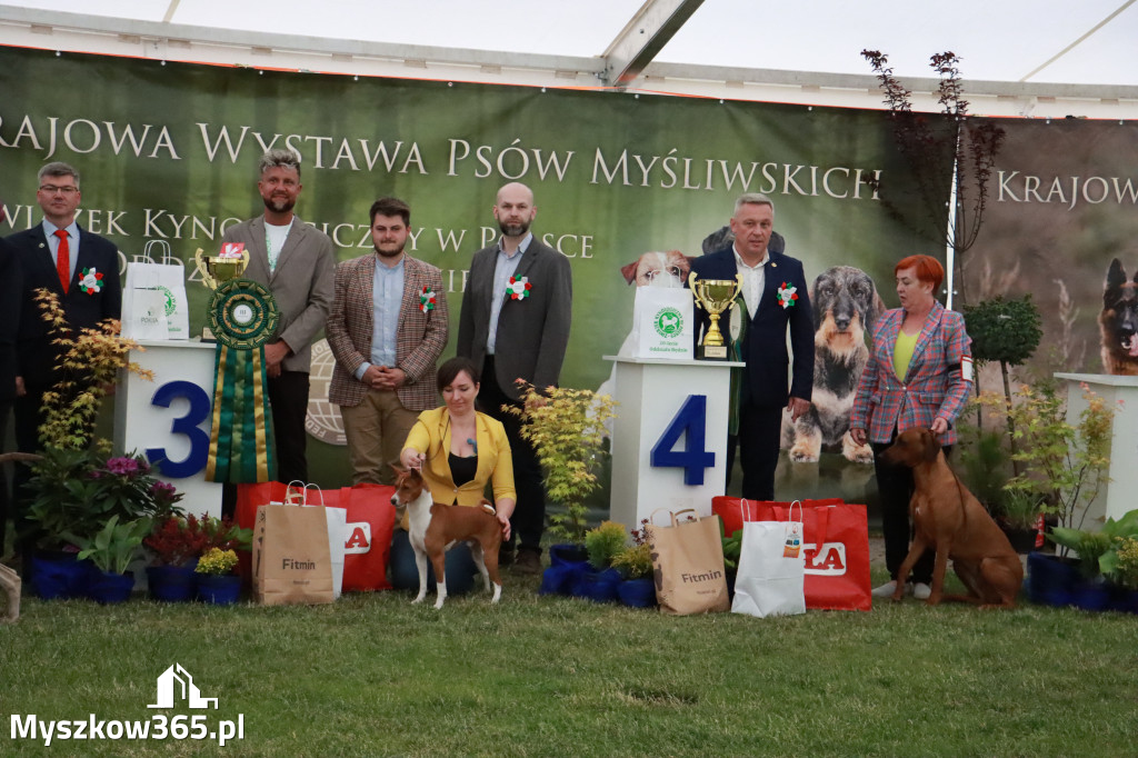 Fotorelacja - Wystawa Psów Rasowych GNIAZDÓW 2024r.