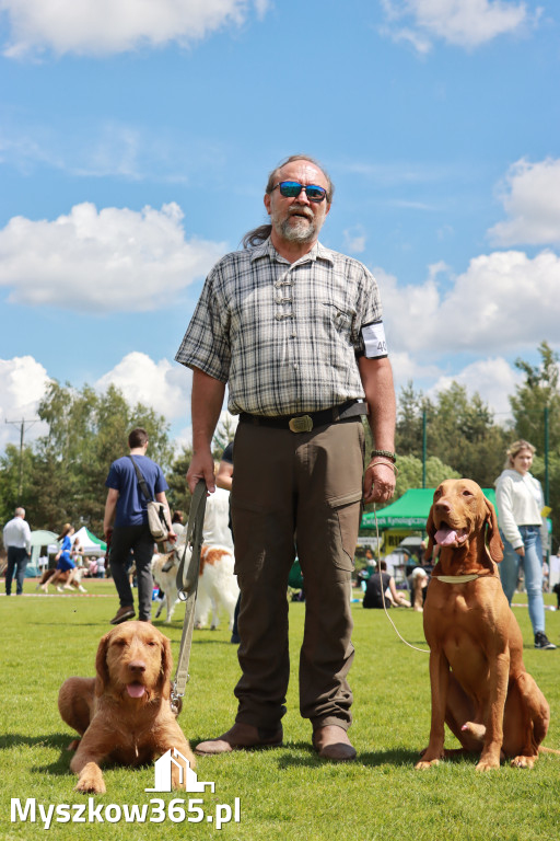 Fotorelacja - Wystawa Psów Rasowych GNIAZDÓW 2024r. SOBOTA I