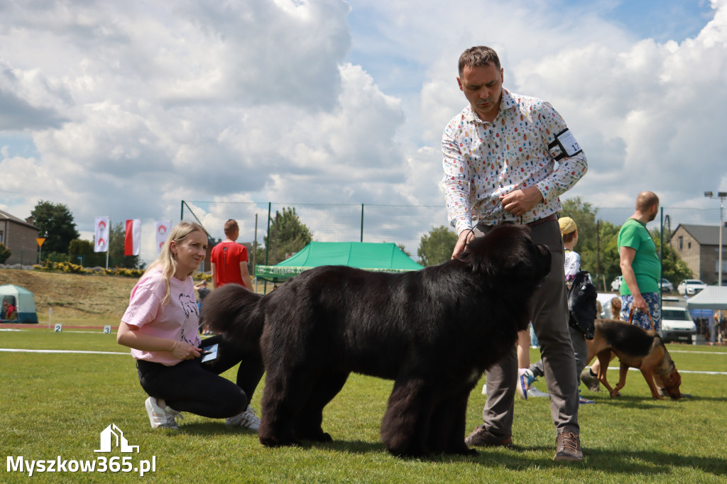 Fotorelacja - Wystawa Psów Rasowych GNIAZDÓW 2024r. SOBOTA I