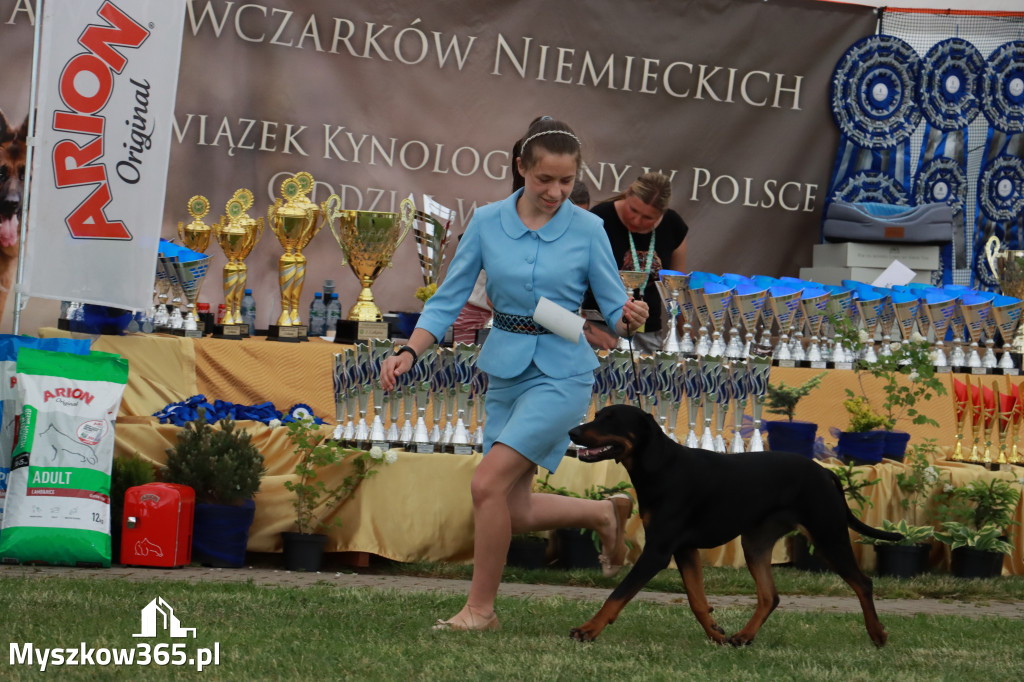 Fotorelacja - Wystawa Psów Rasowych GNIAZDÓW 2024r. SOBOTA I