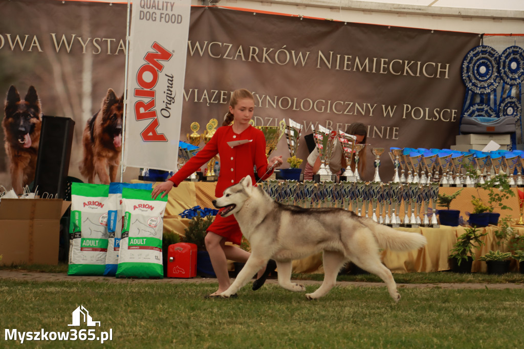 Fotorelacja - Wystawa Psów Rasowych GNIAZDÓW 2024r. SOBOTA I