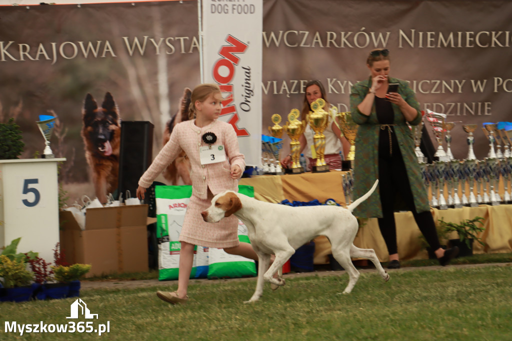 Fotorelacja - Wystawa Psów Rasowych GNIAZDÓW 2024r. SOBOTA I