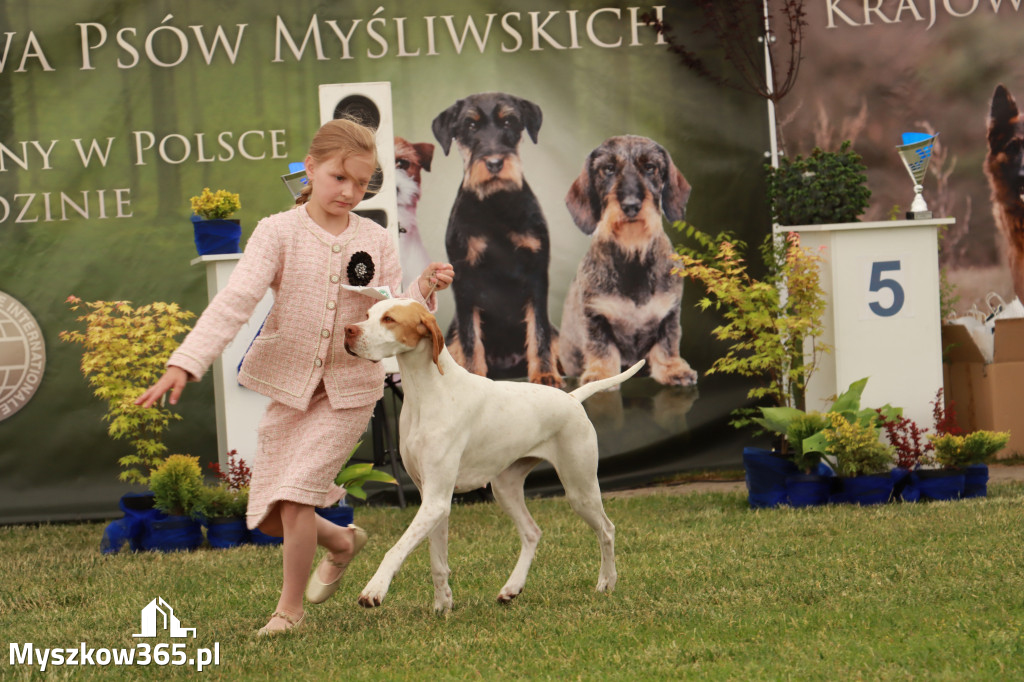 Fotorelacja - Wystawa Psów Rasowych GNIAZDÓW 2024r. SOBOTA I