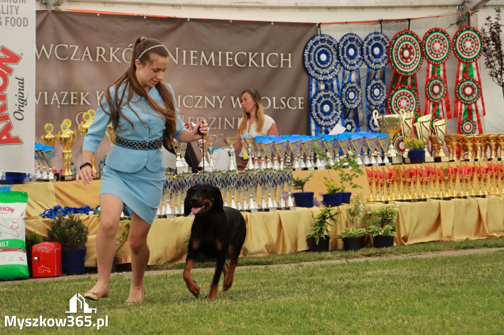 Fotorelacja - Wystawa Psów Rasowych GNIAZDÓW 2024r. SOBOTA I