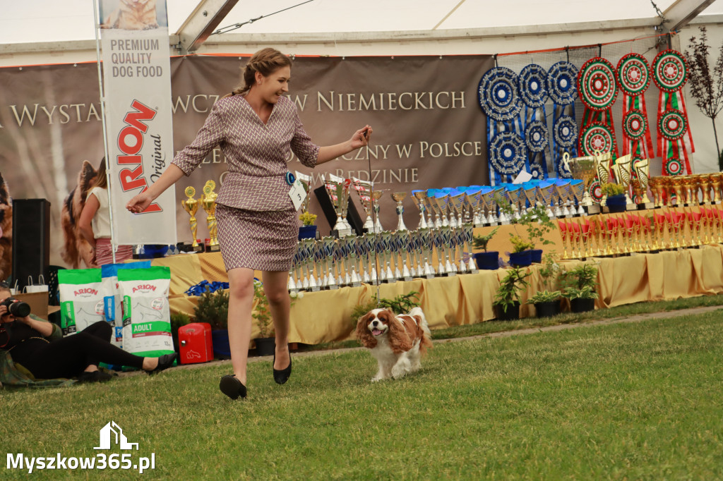 Fotorelacja - Wystawa Psów Rasowych GNIAZDÓW 2024r. SOBOTA I