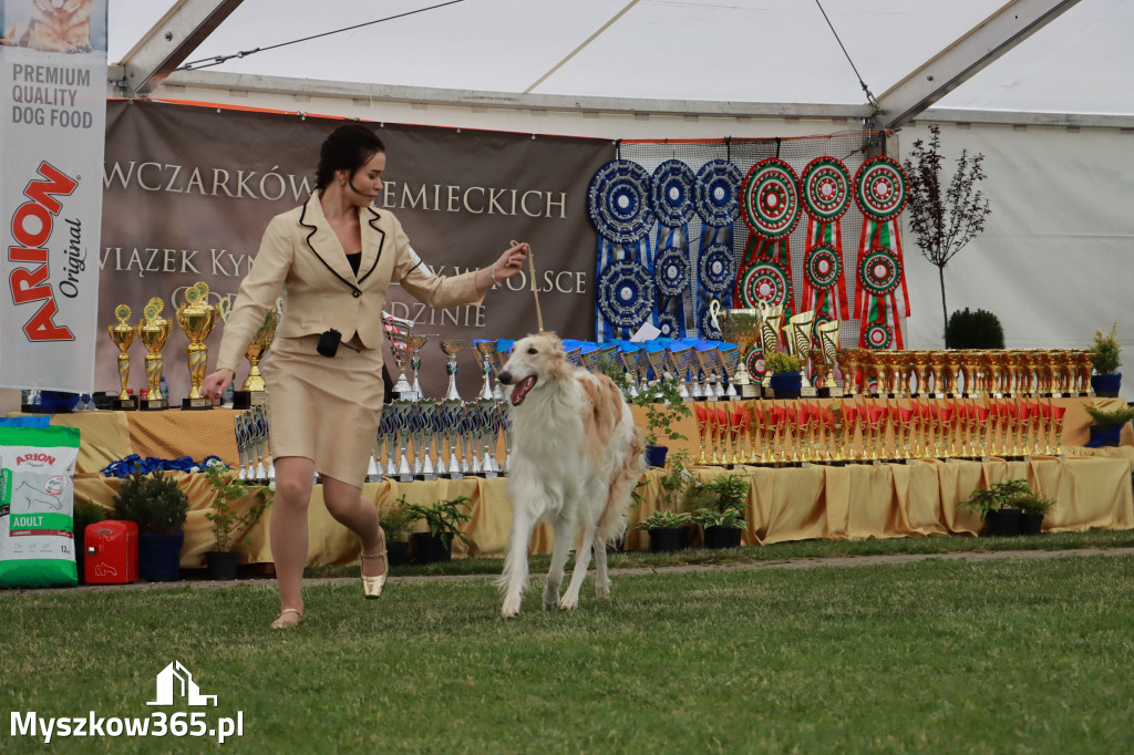 Fotorelacja - Wystawa Psów Rasowych GNIAZDÓW 2024r. SOBOTA I