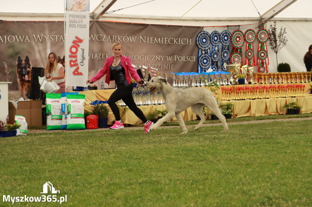 Fotorelacja - Wystawa Psów Rasowych GNIAZDÓW 2024r. SOBOTA I