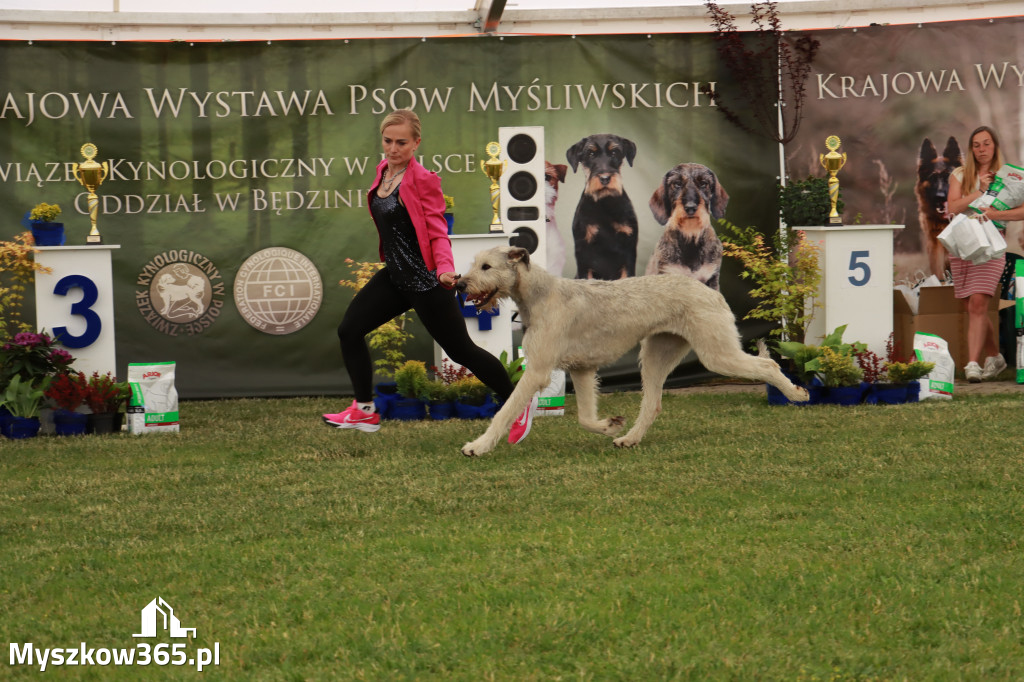 Fotorelacja - Wystawa Psów Rasowych GNIAZDÓW 2024r. SOBOTA I