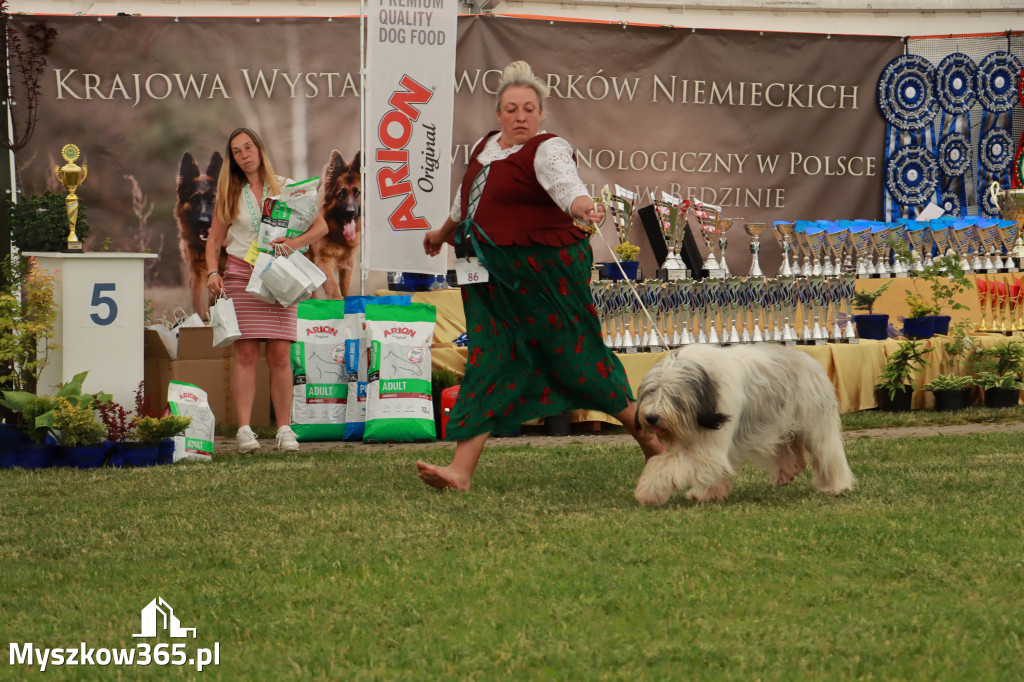 Fotorelacja - Wystawa Psów Rasowych GNIAZDÓW 2024r. SOBOTA I