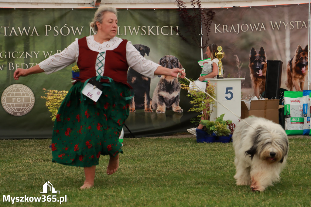 Fotorelacja - Wystawa Psów Rasowych GNIAZDÓW 2024r. SOBOTA I